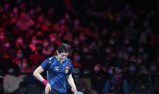 2021年乒乓球世乒赛 2021年乒乓球世乒赛